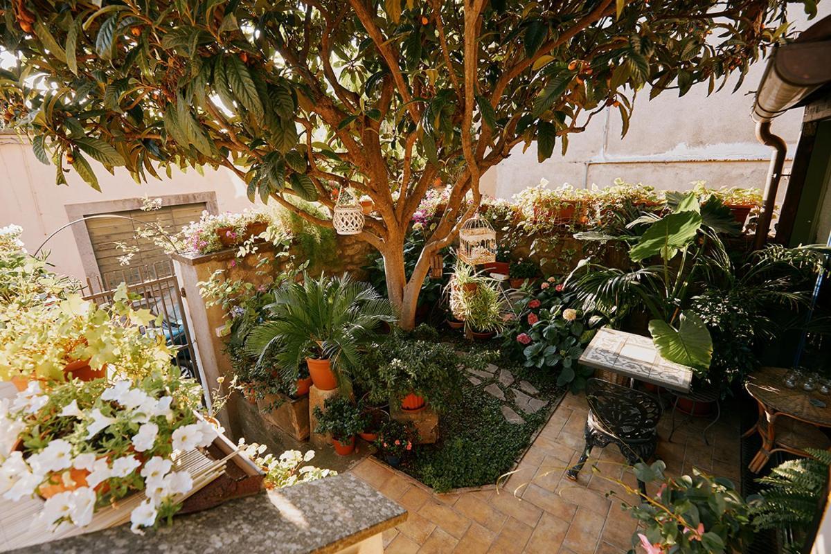 La Casetta Di Giusy - Alloggio Turistico Viterbo Exterior foto